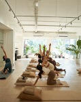 Wellness